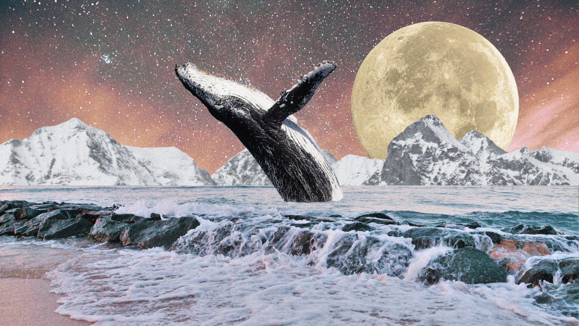 Cripmagination Web Image