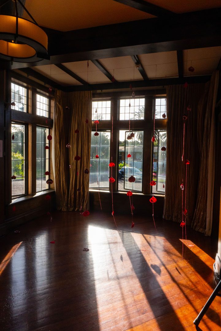 D LIST Shelley Te Haara 11