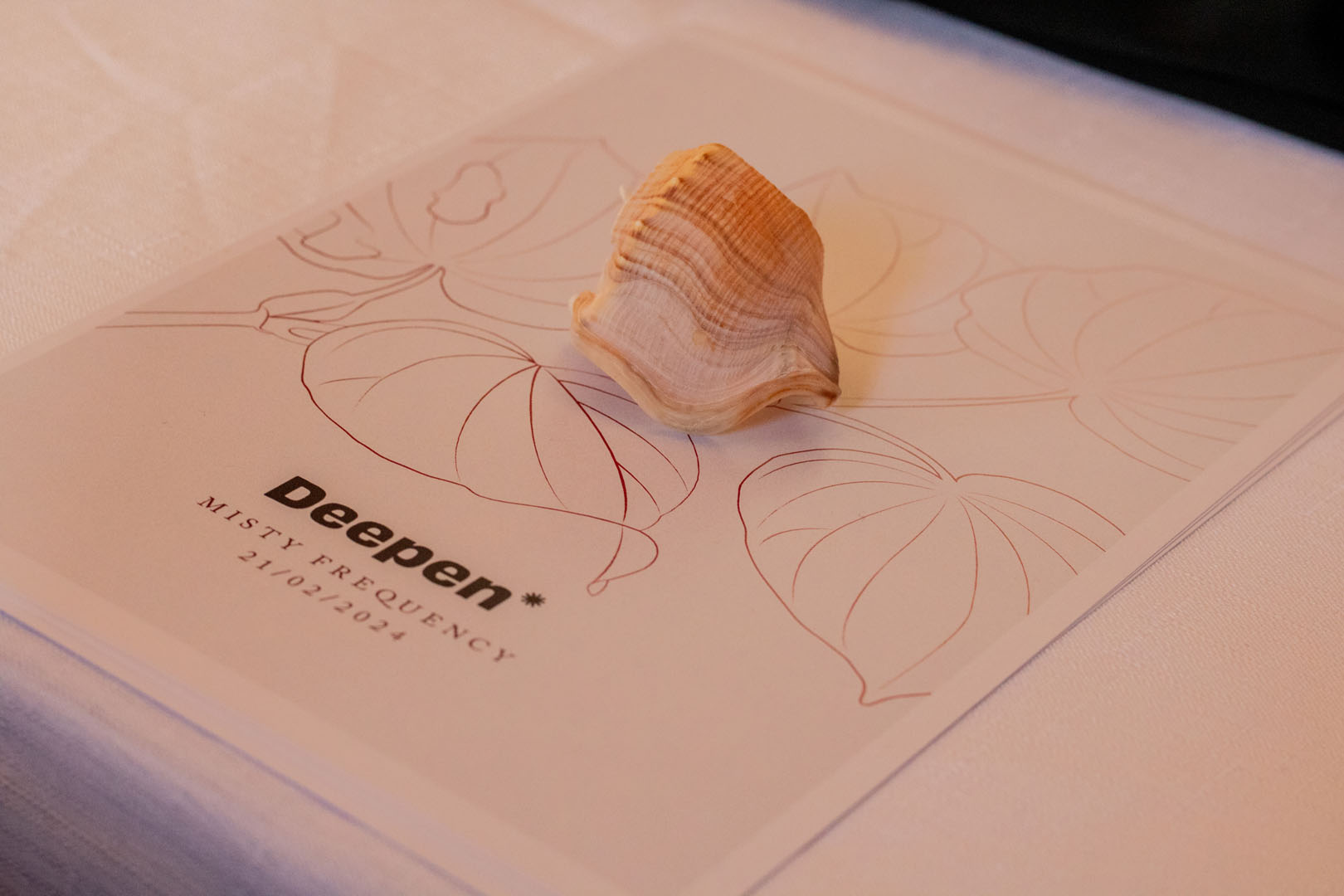 D LIST Shelley Te Haara 34