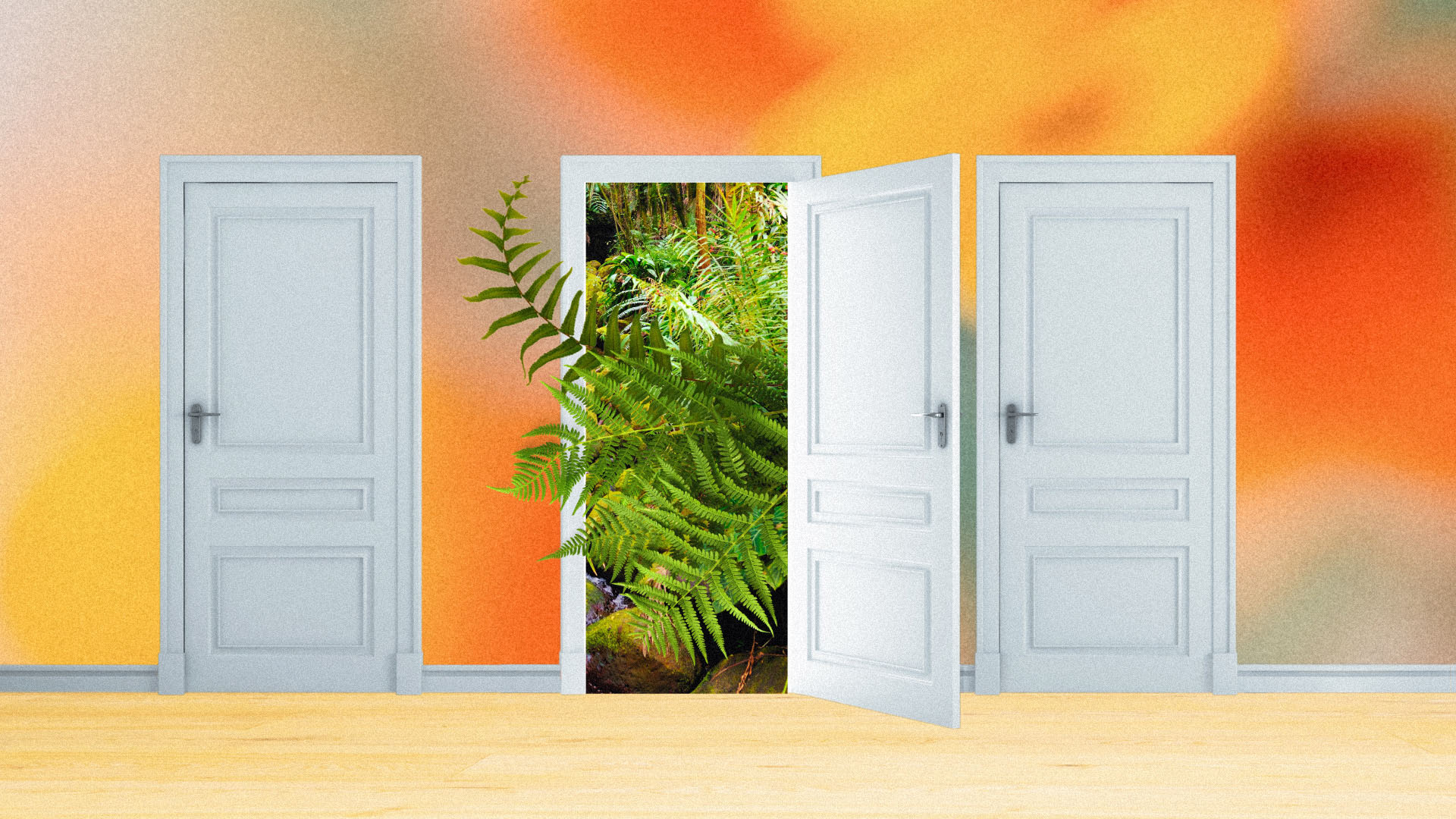 Adhd Explainer Web Image