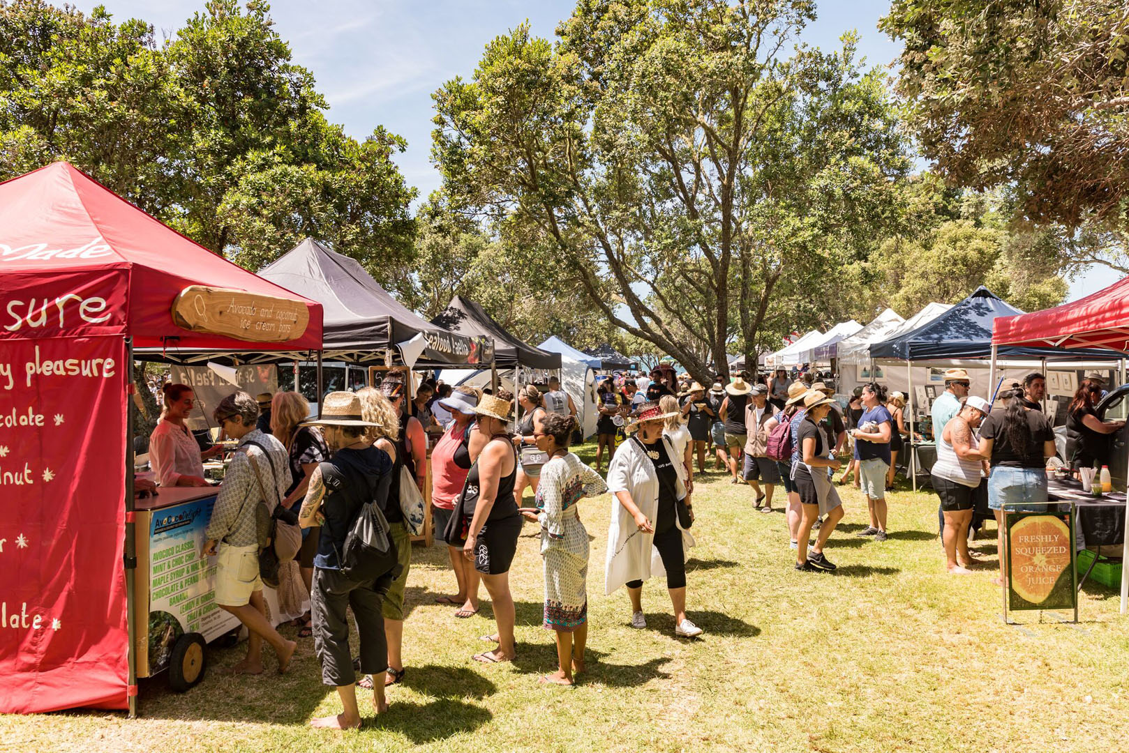 Waitangi Day Stalls