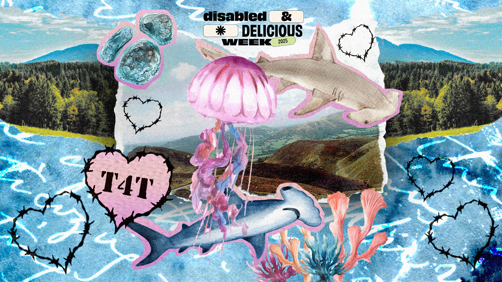 Kiwikiwi It 04 Noise