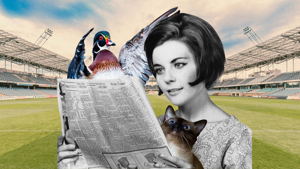 A black and white image of a woman reads the newspaper, with surprised-looking animals coming out of the pages. A sports stadium is in the background.