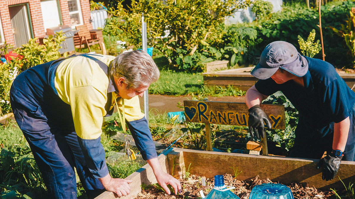 Two people dressed in work clothes are leaning over a garden bed on a sunny day.