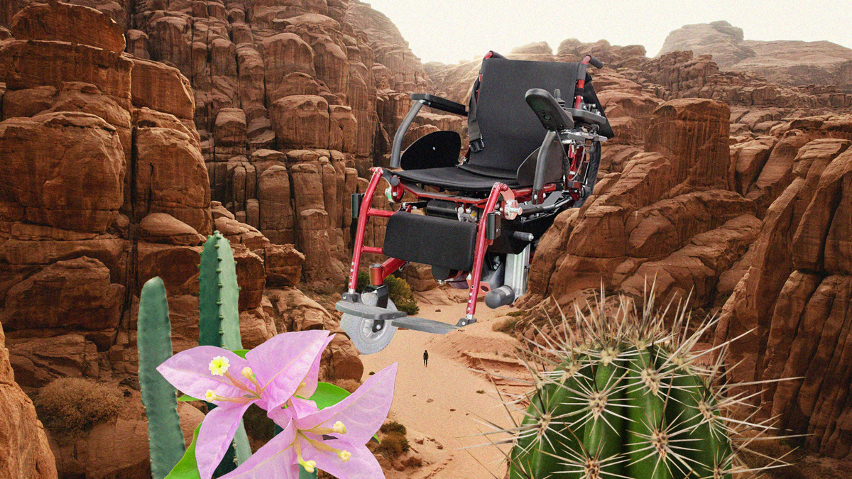 A wheelchair emerges from a desert rock, surrounded by cactus and pink flowers