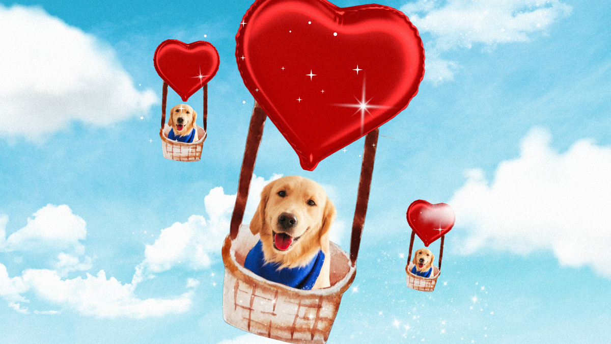 A golden retriever is smiling while floating in a heart-shaped hot air balloon in a blue sky.