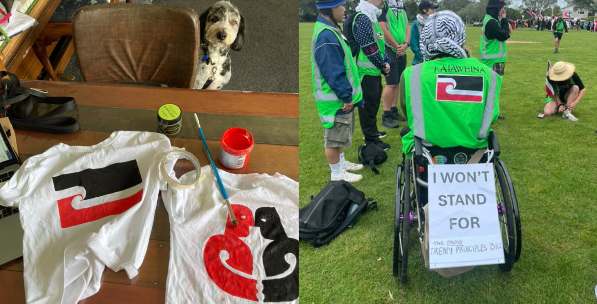 A collage image of disabled people protesting