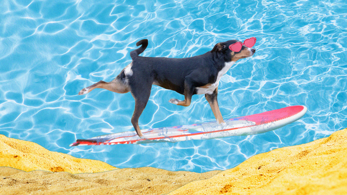 A dog wears pink heart-shaped sunglasses while looking cool and chill on a surfboard at the beach.