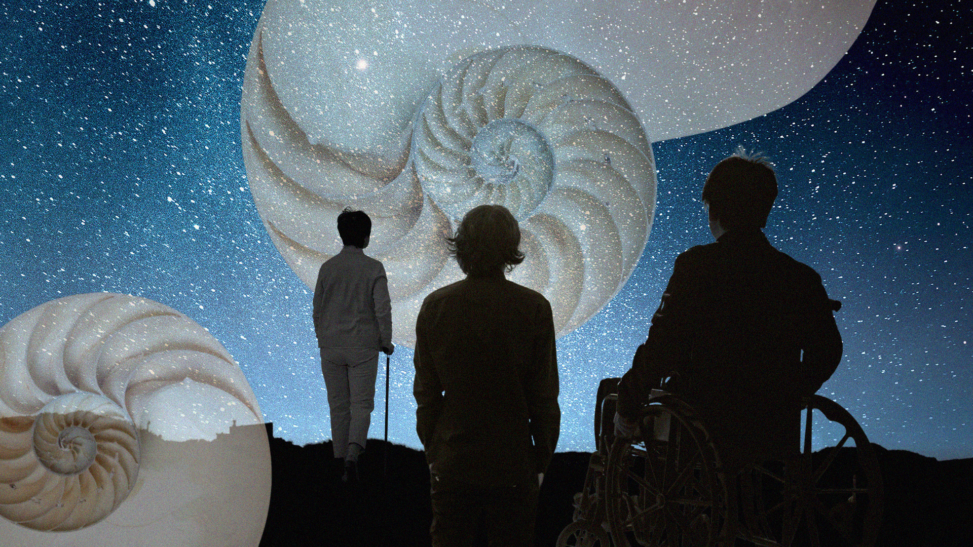 Hautapu Web Image (1)