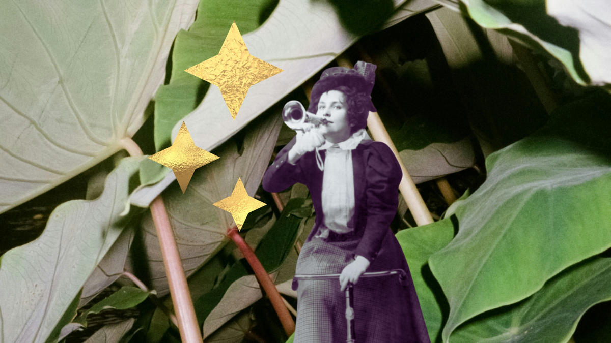 A woman dressed in 20th century attire is grabbing your attention by blowing a horn with stars and emerges from a some leaves.